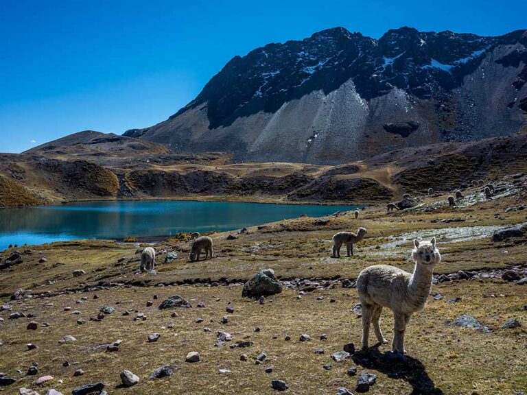 7 Lagunas de Ausangate