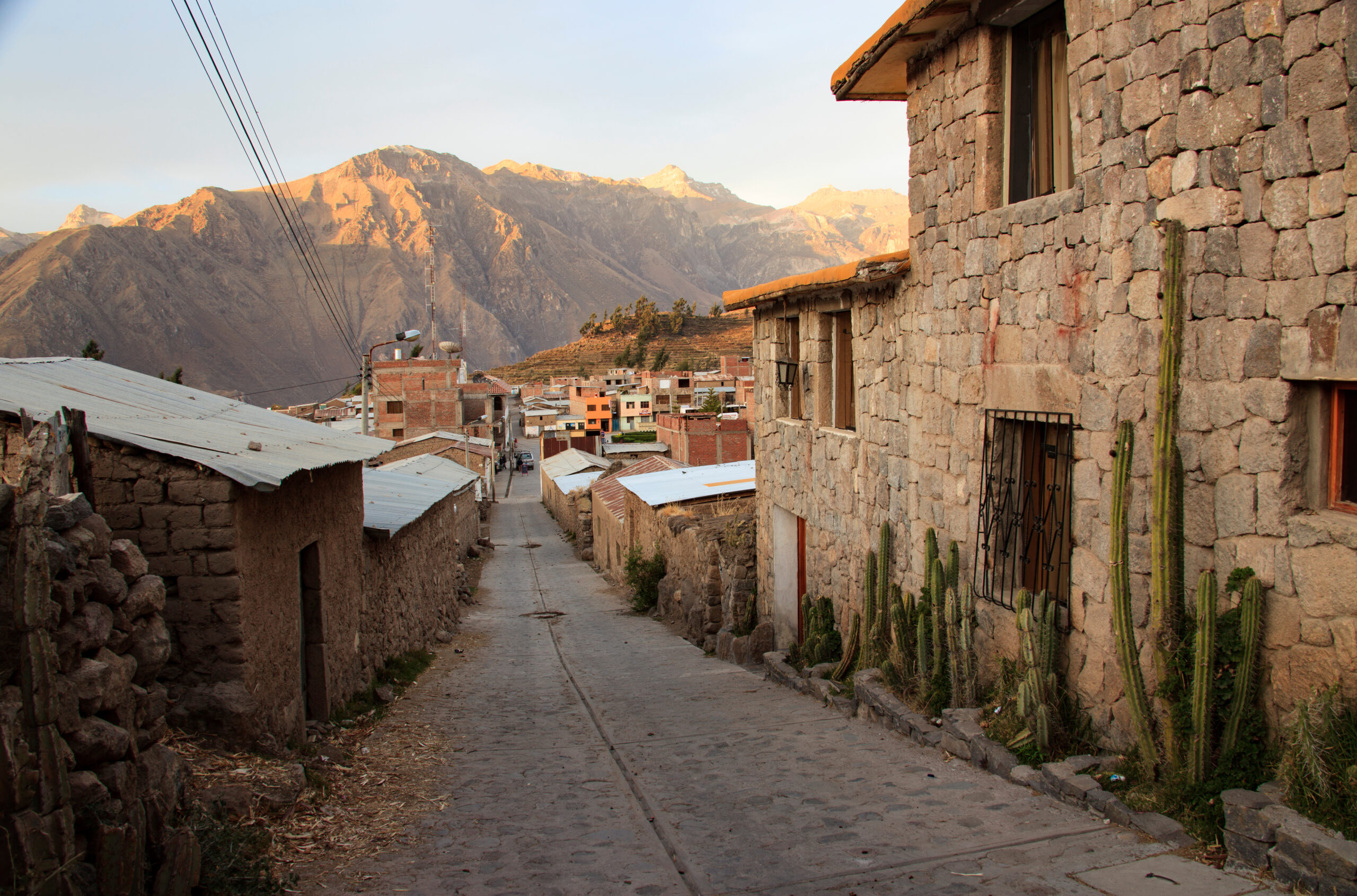 cañon del colca condor andino