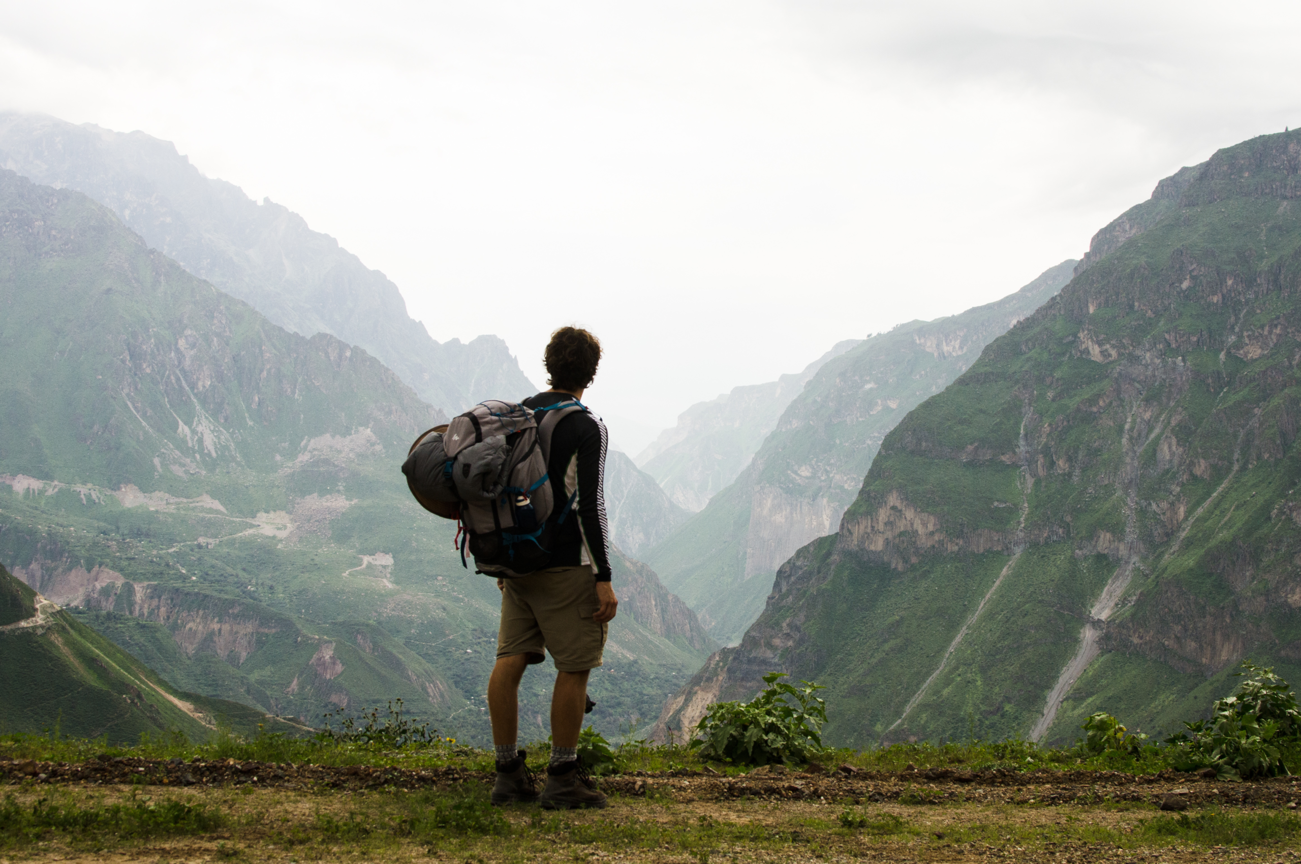 cañon del colca condor andino