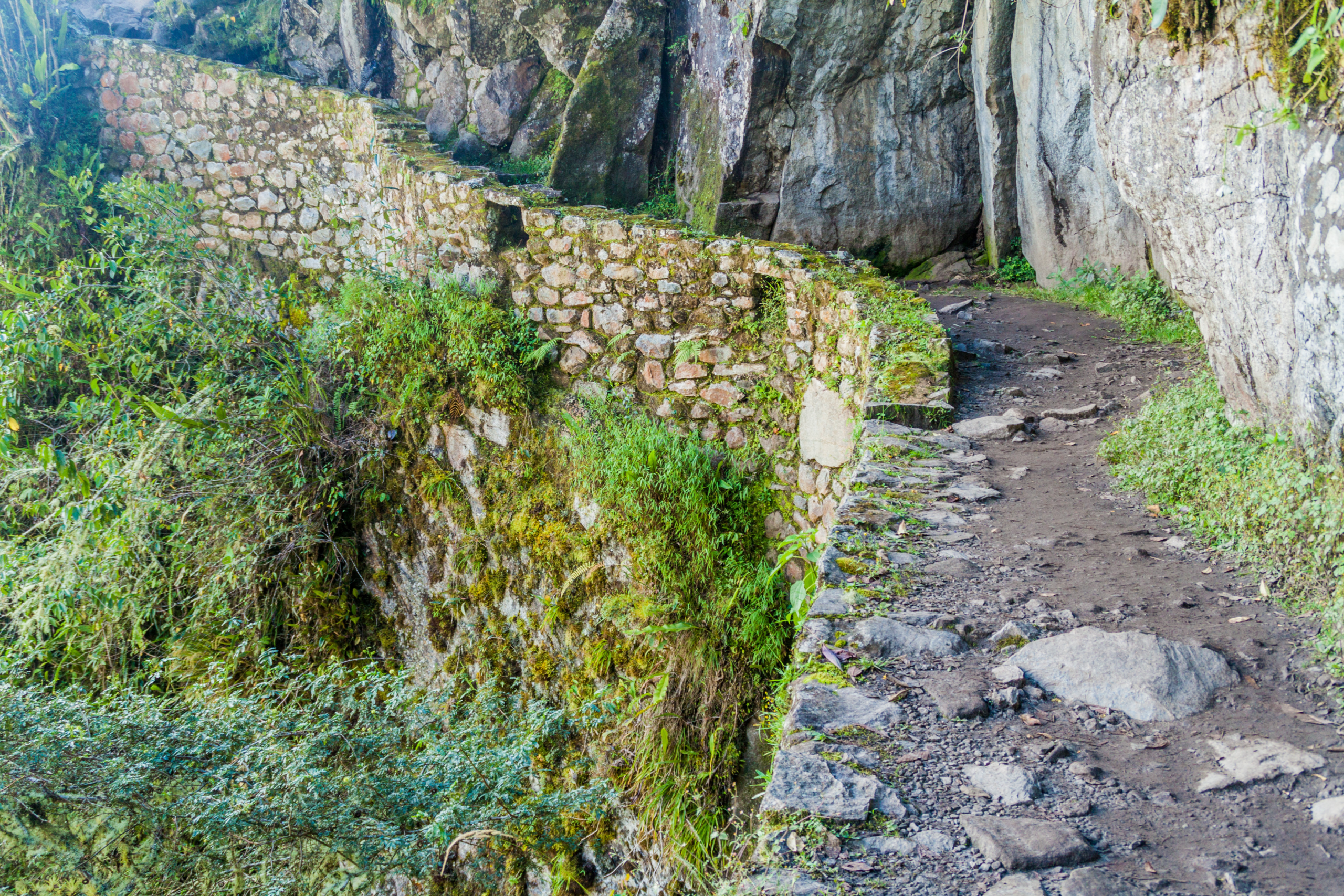 amazonia peruana y cusco-camino inca