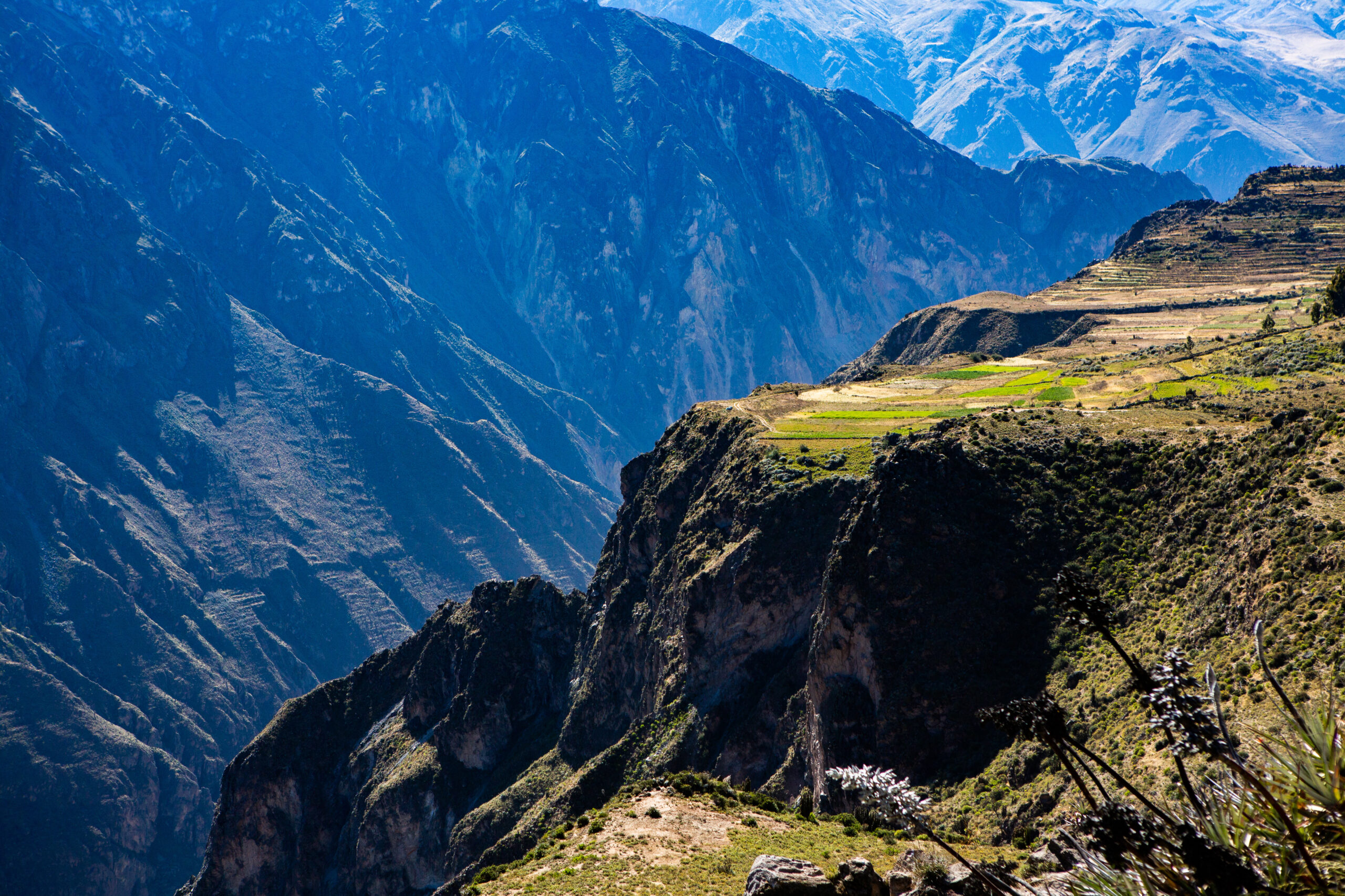 Bus Seguro Cusco Arequipa