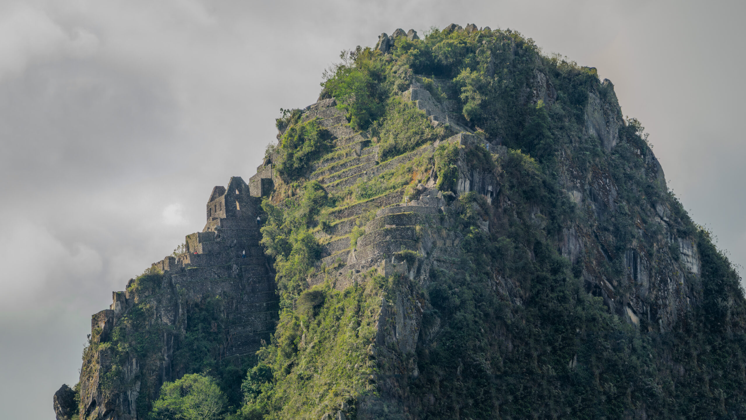 huayna picchu vs montaña machu picchu