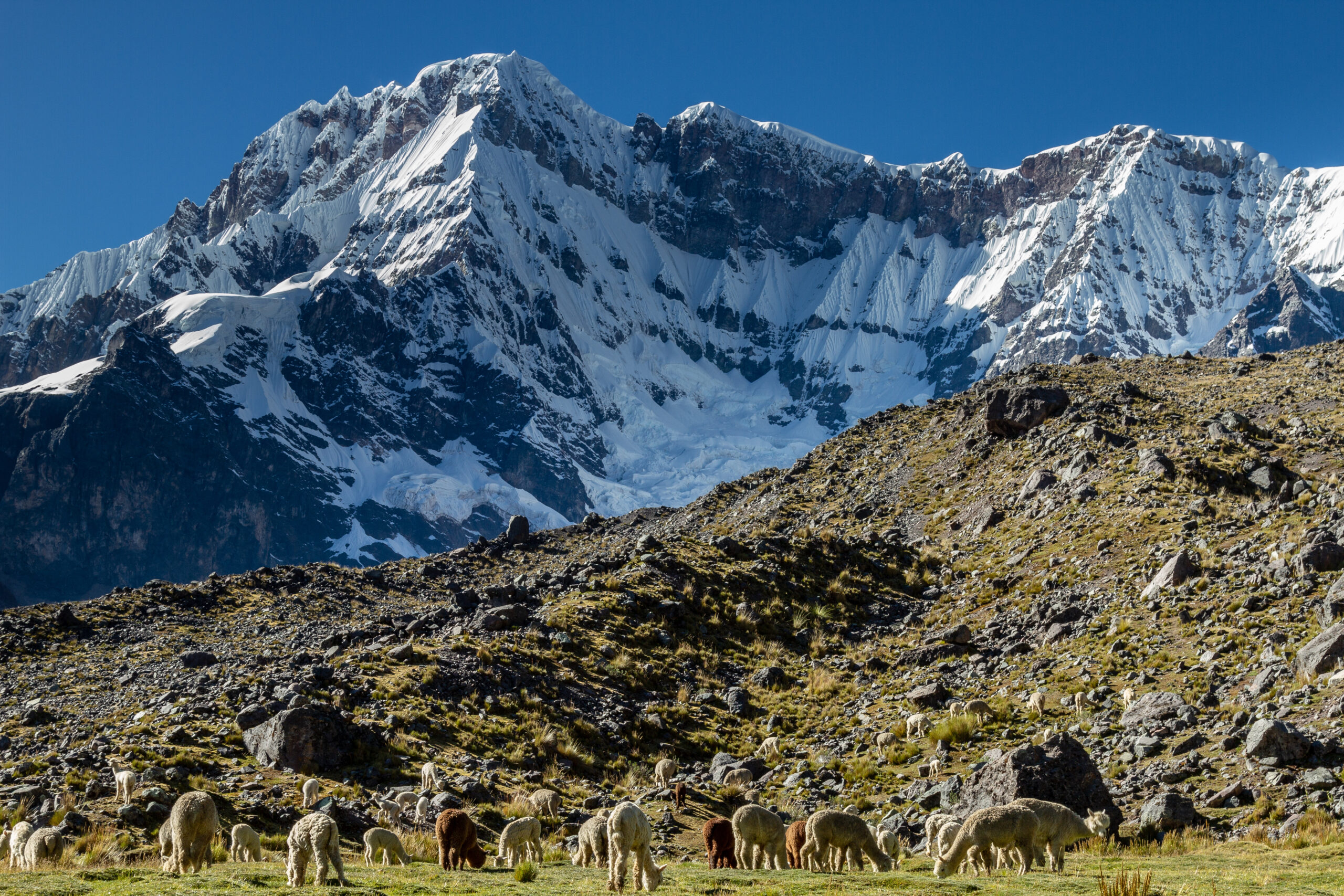 Rituales Andinos Cusco