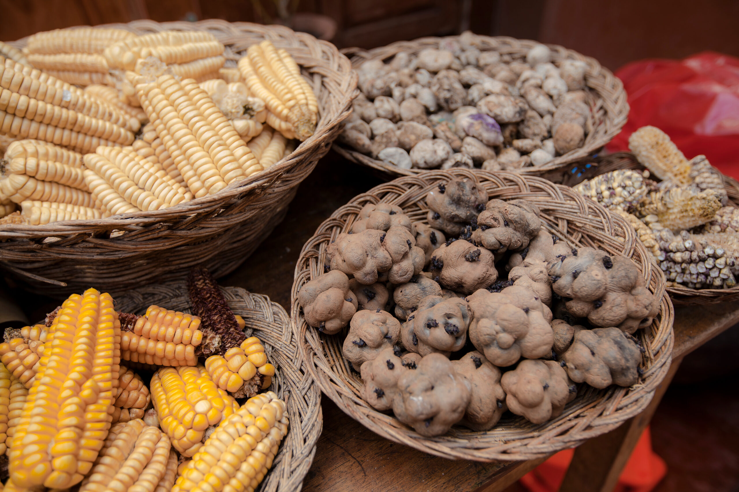 Cusco gastronomia fusion