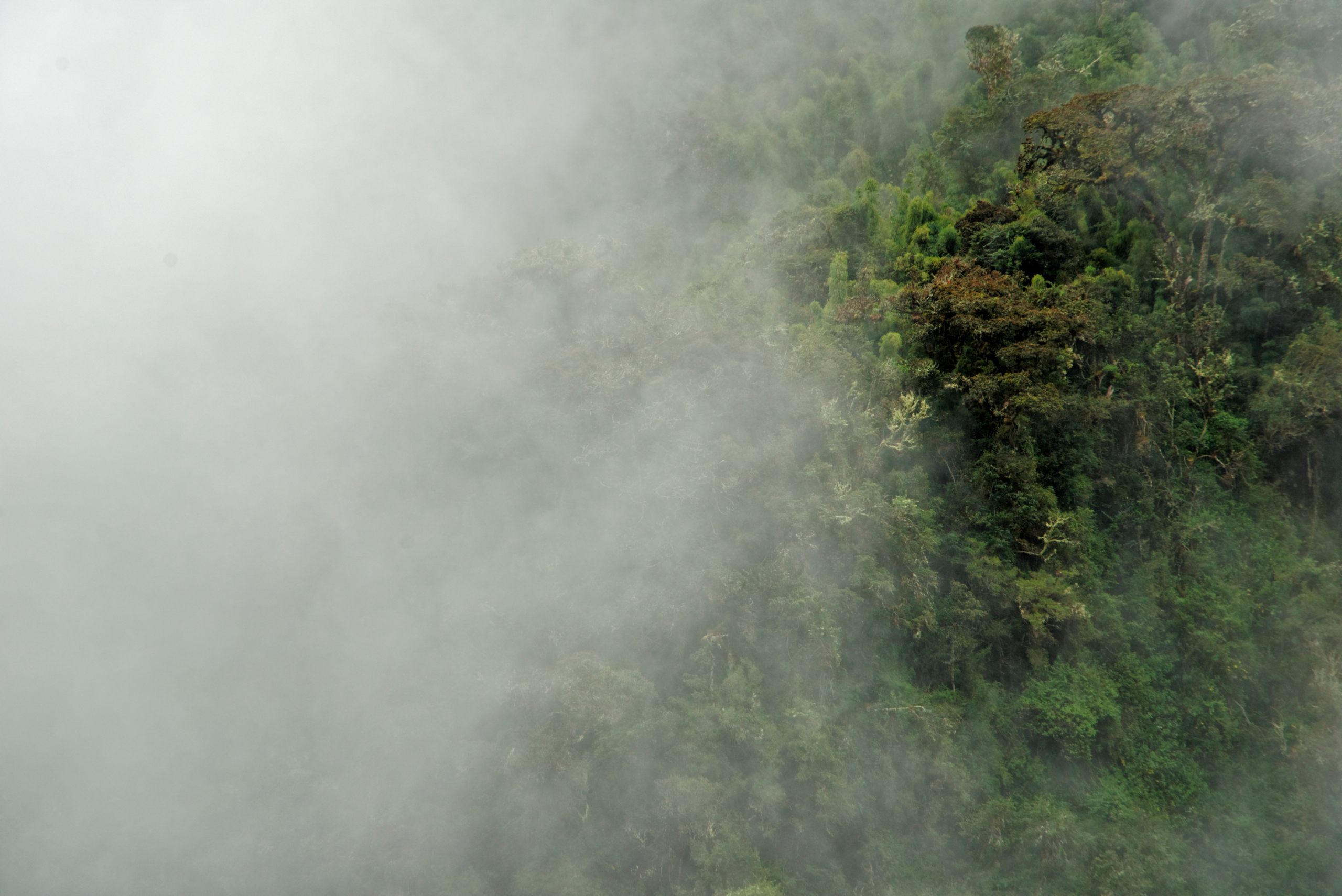 seguridad trekking cusco