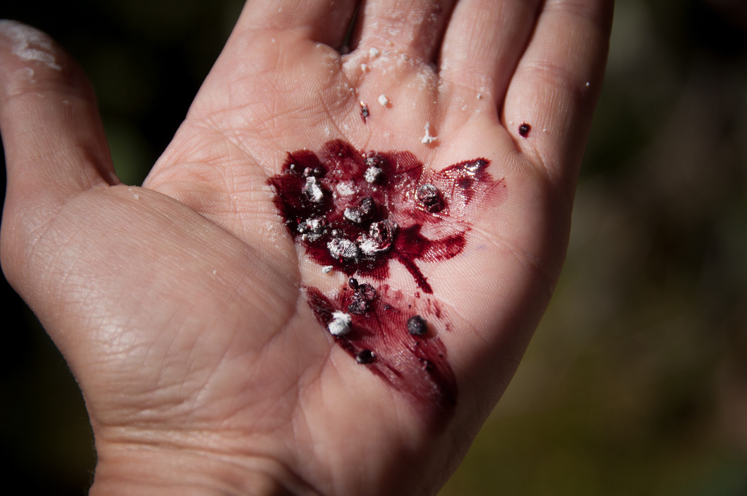 Textiles Andinos Cochinilla