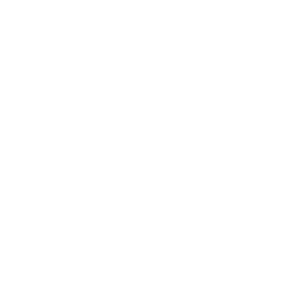 Tari Tours