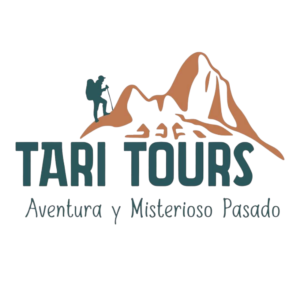 Tari Tours